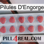 Engorge Pills 18